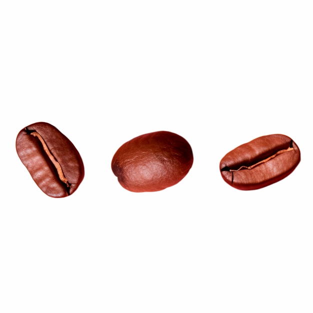 Hero Image 1